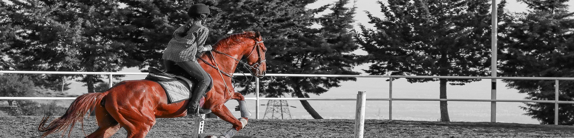 letselschade verhalen na ongeval met paard