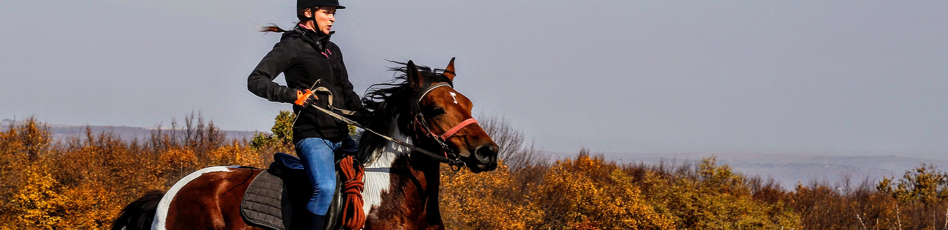 Letselschadezaak gevallen van paard | LetselPro
